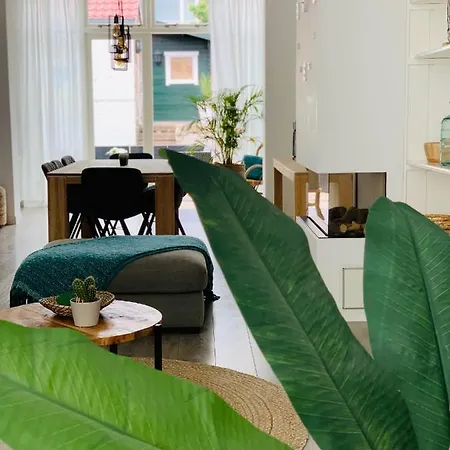Casa Lima №8 *